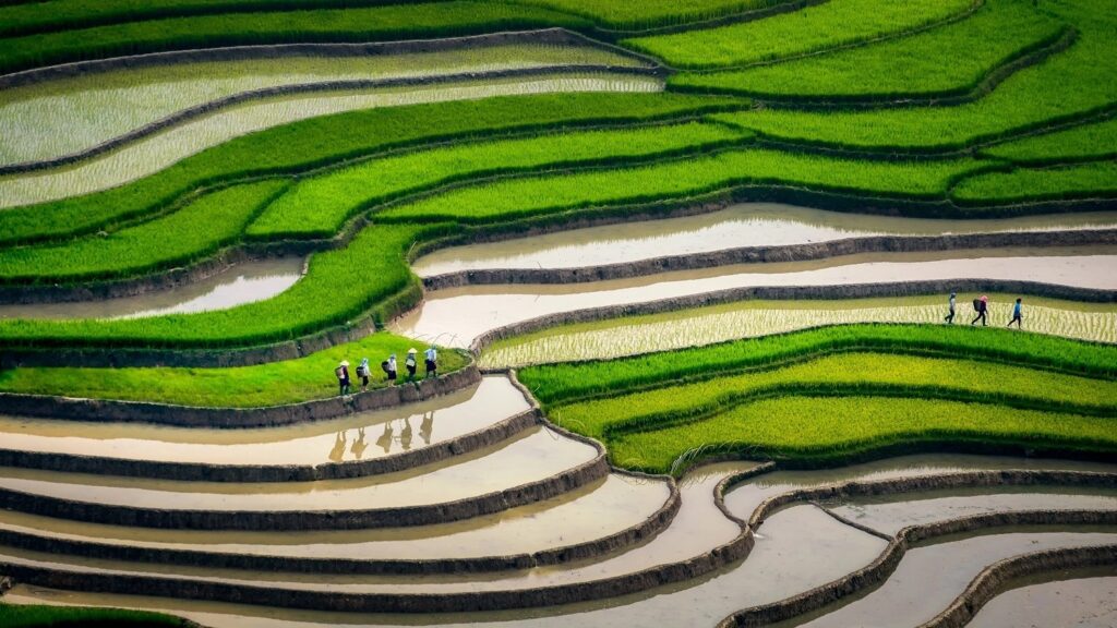agence de voyage au vietnam